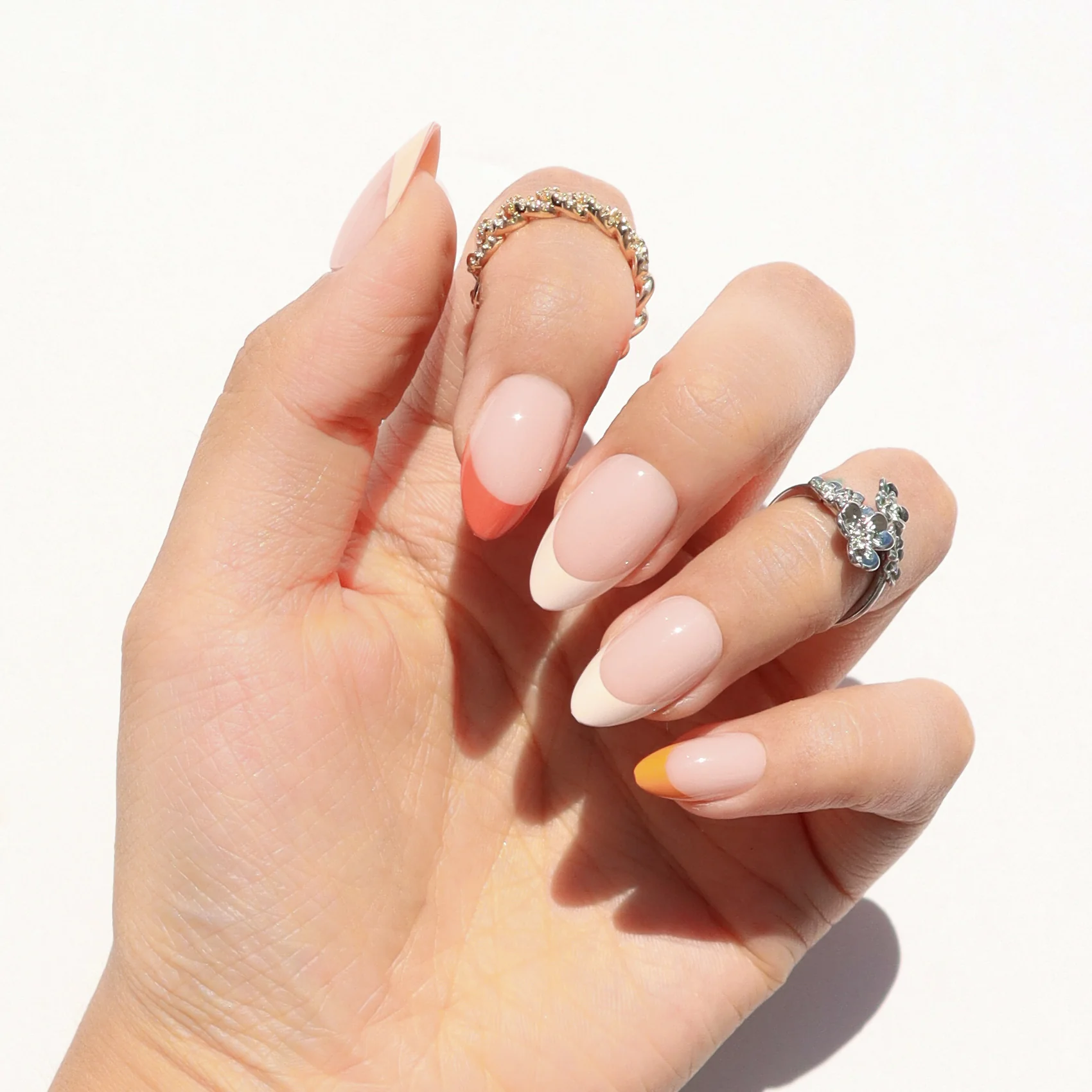 Elegant Tones