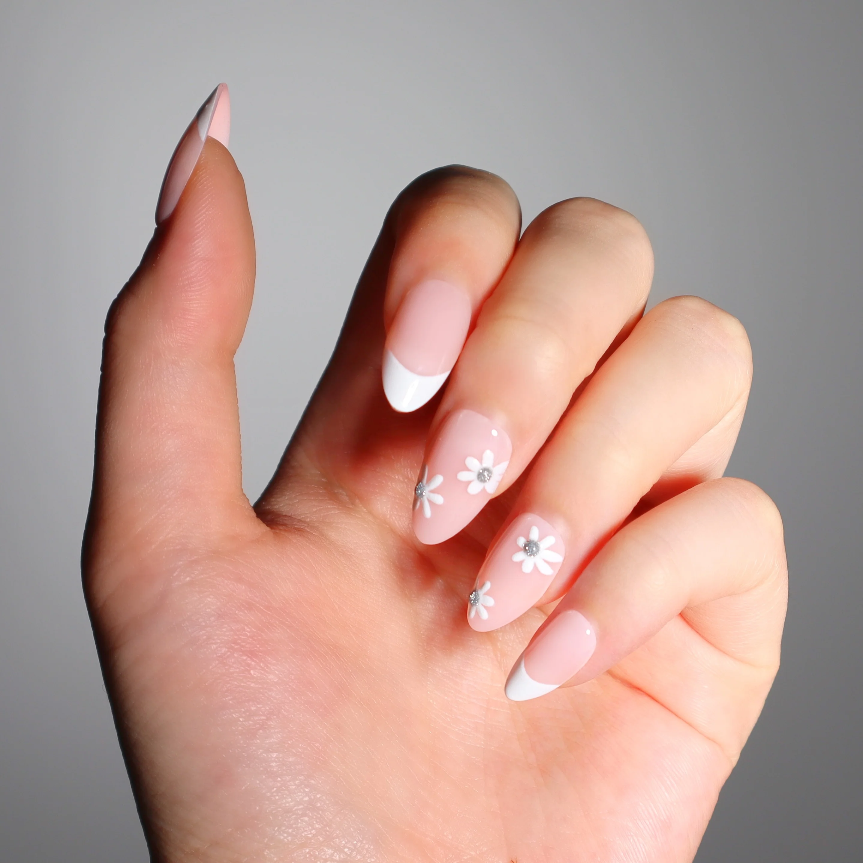 French Daisy - Image 2