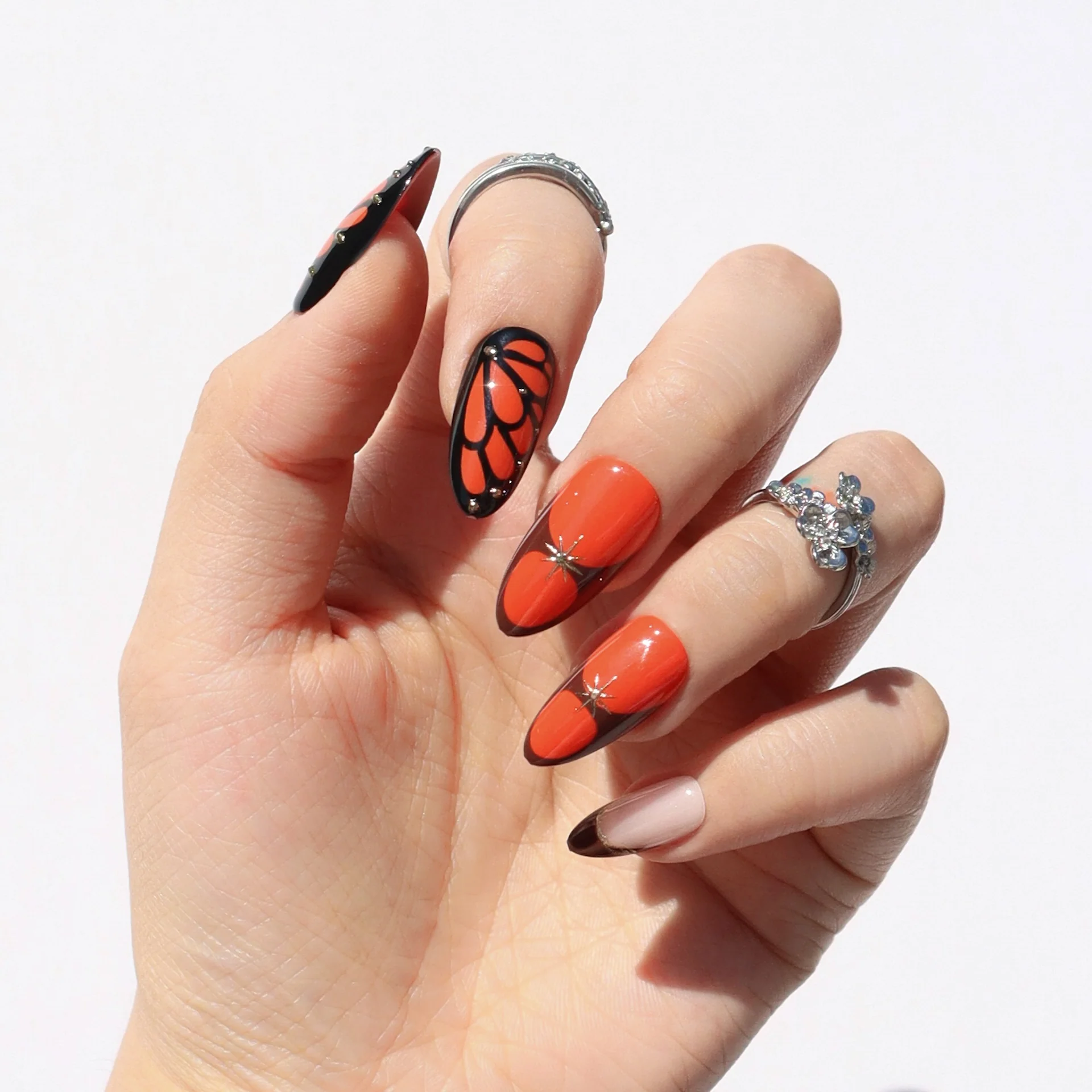 Monarch