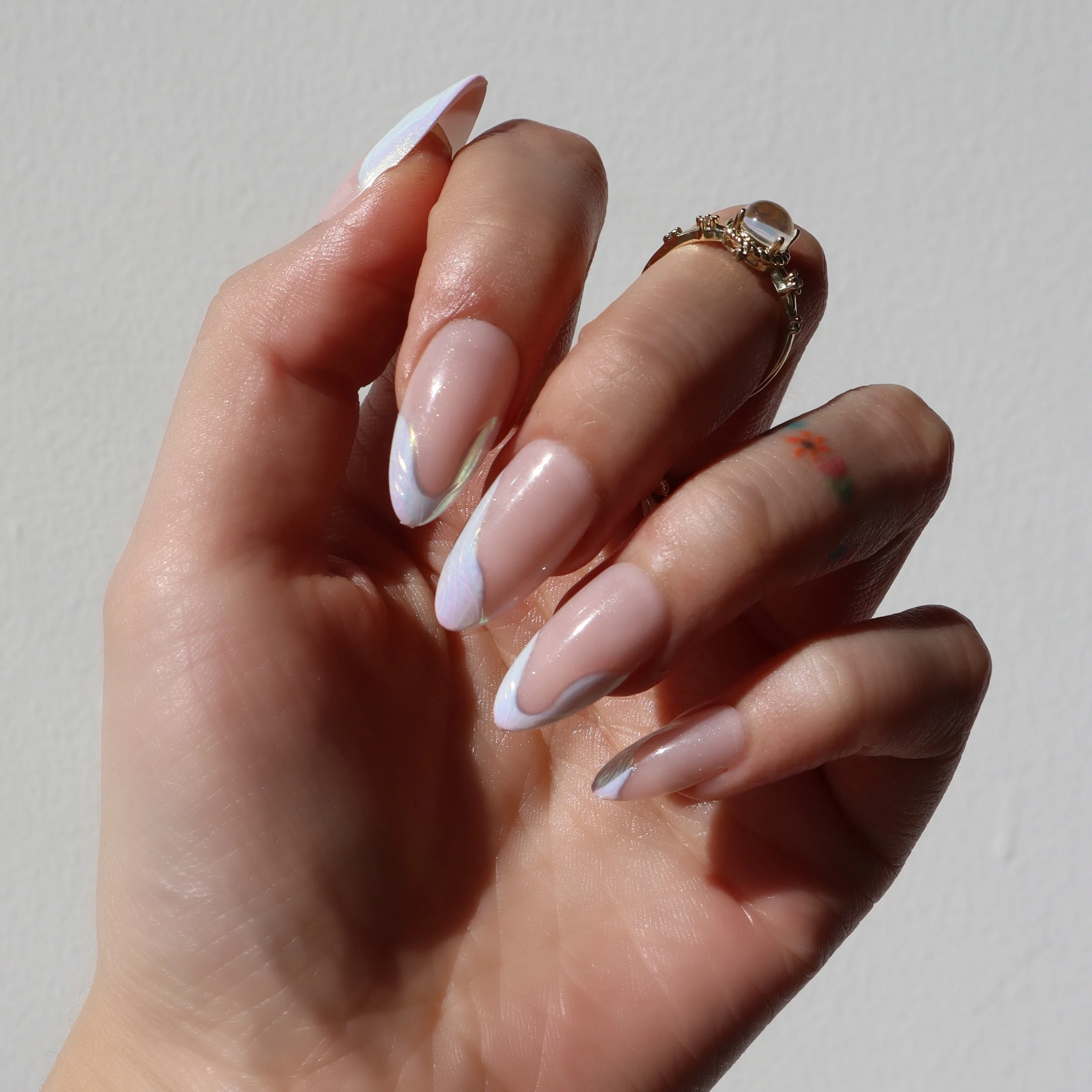Seashell - Image 2