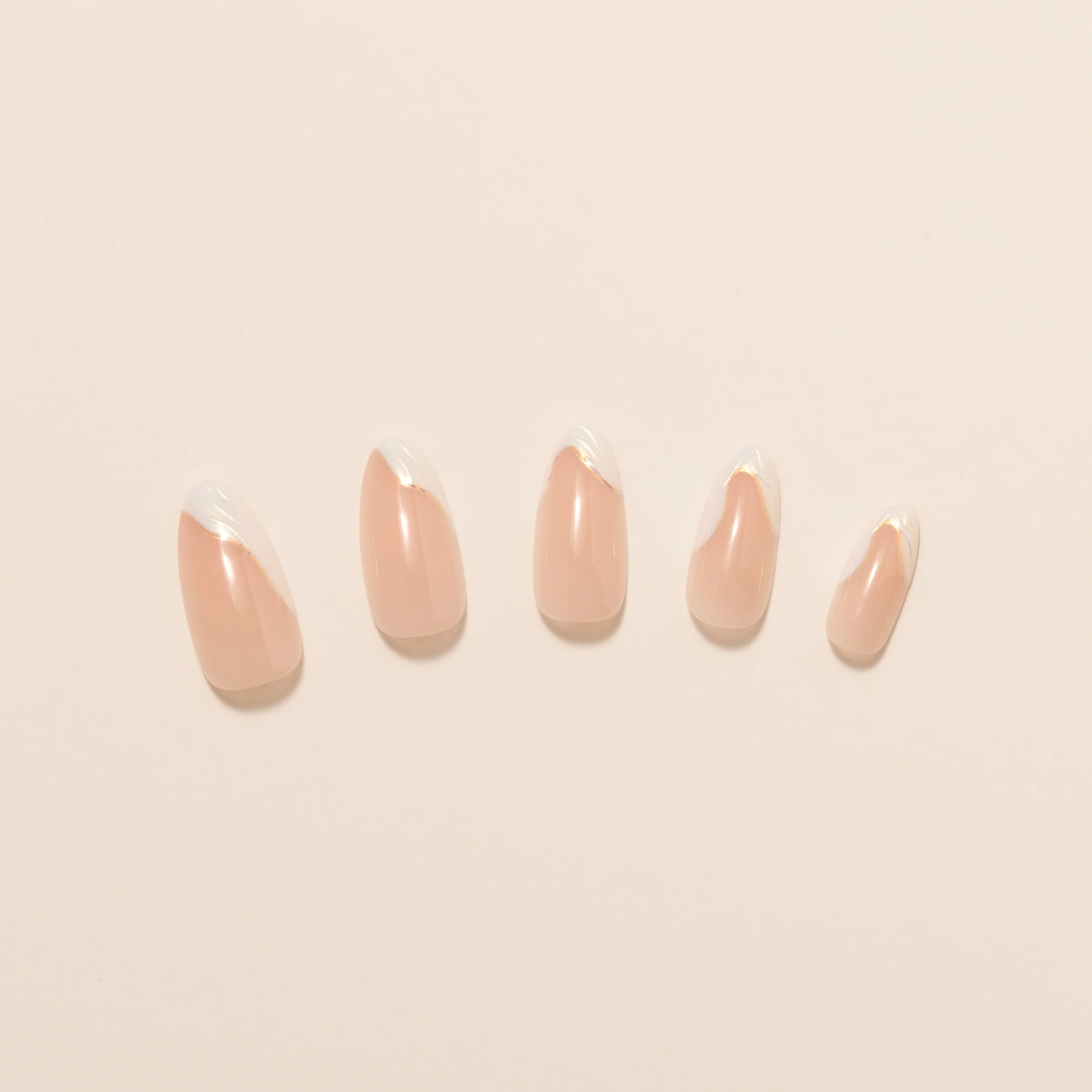 Seashell - Image 3