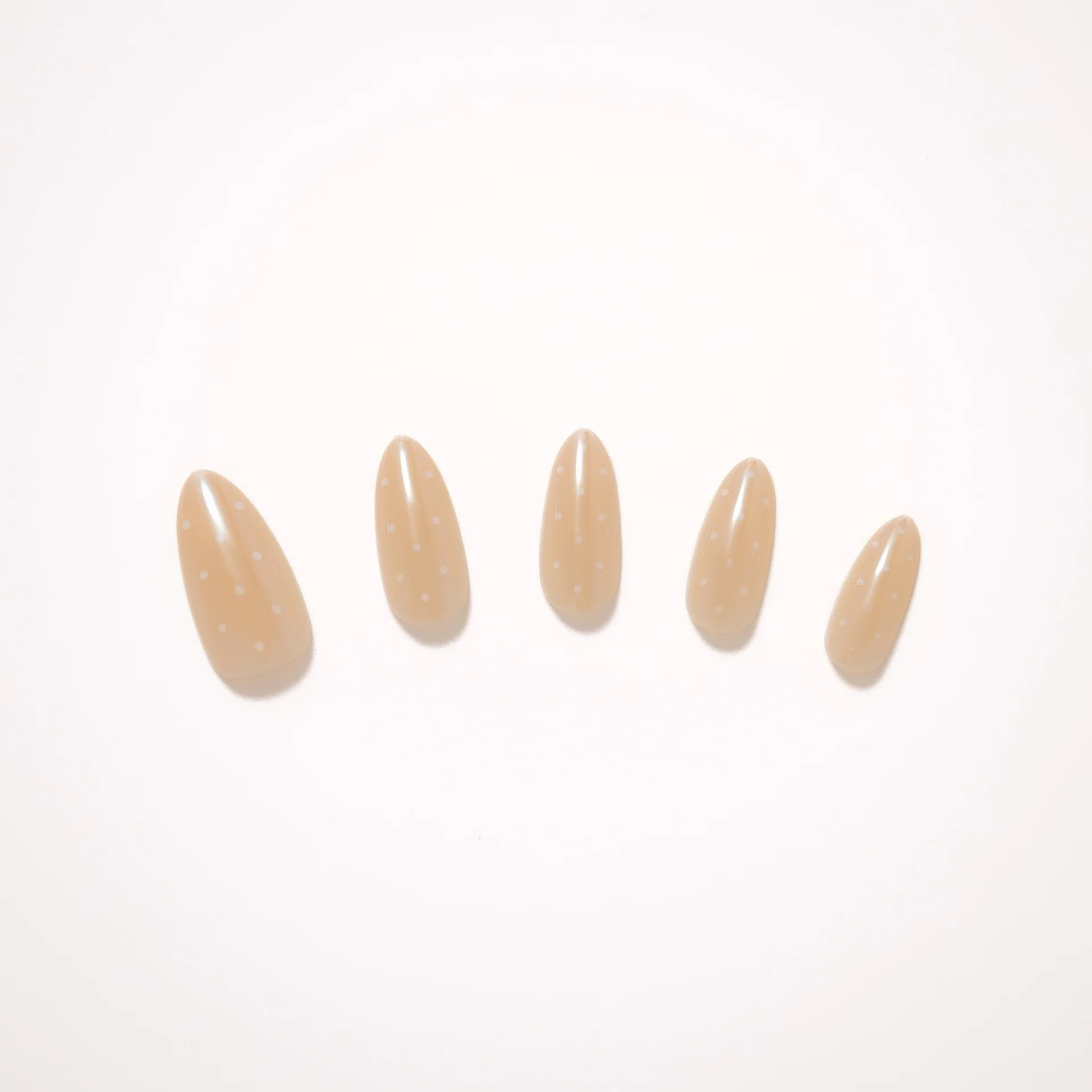 Vanilla Bean - Image 3
